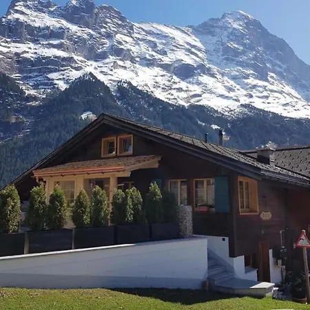 公寓 Eiger By Interhome 格林德瓦