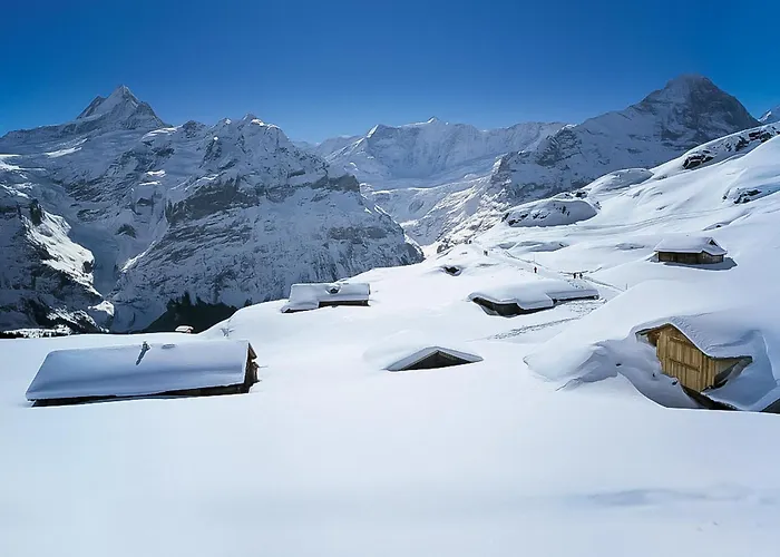 公寓 Eiger By Interhome 格林德瓦