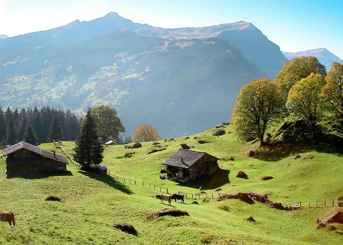 Eiger By Interhome Διαμέρισμα *